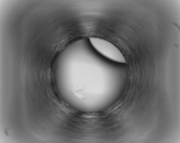 X0000095950563200801110918