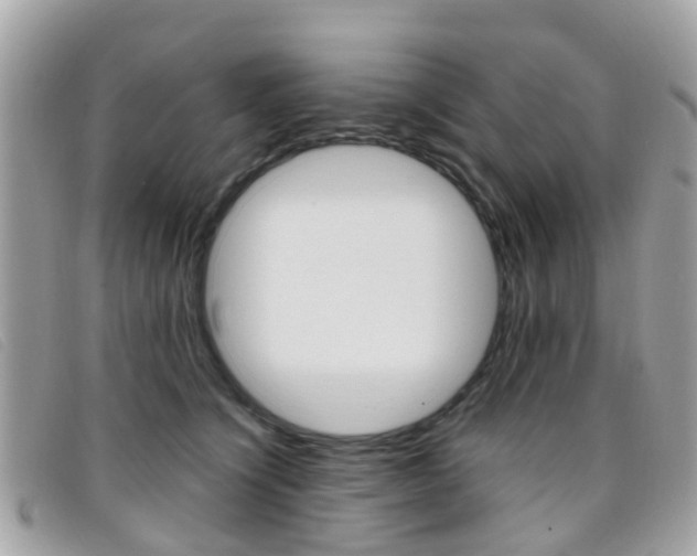 X0000095950564200801110918