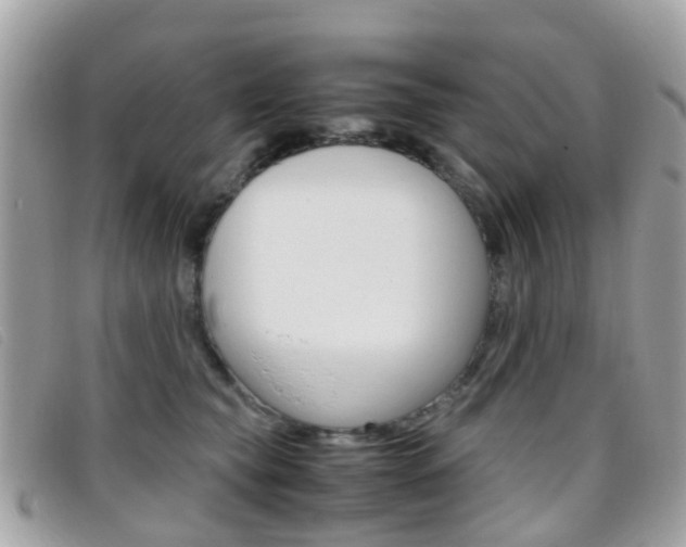 X0000095950565200801110918