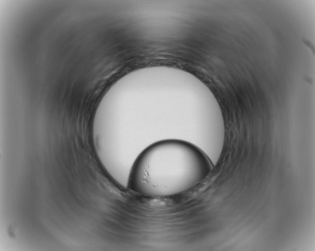 X0000095950566200801110918
