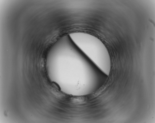 X0000095950567200801110918