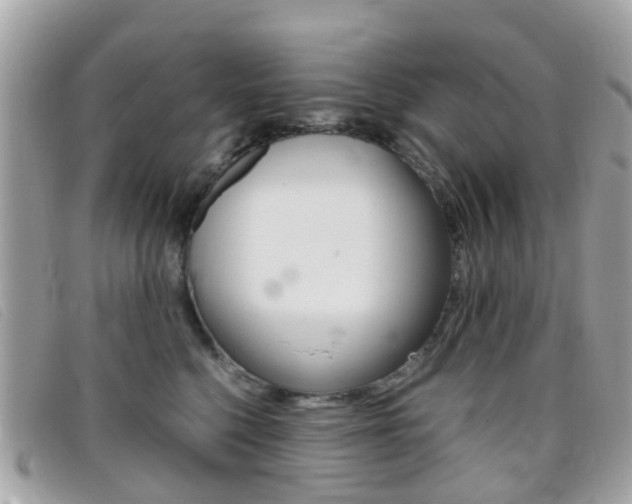 X0000095950568200801110918