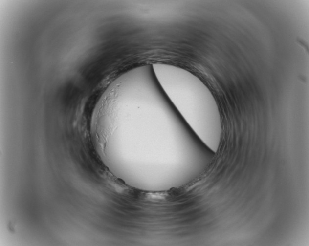 X0000095950573200801110918
