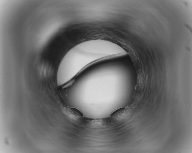 X0000095950574200801110918