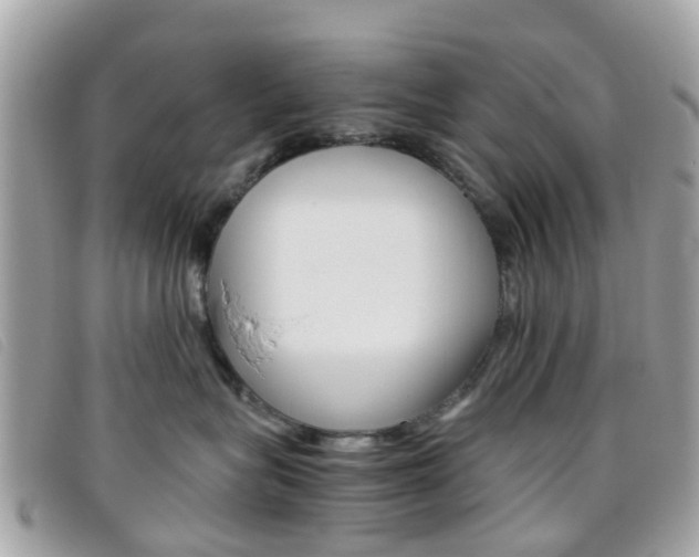 X0000095950575200801110918