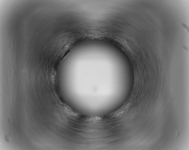 X0000095950576200801110918