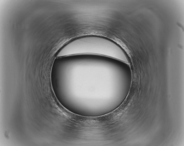 X0000095950577200801110917