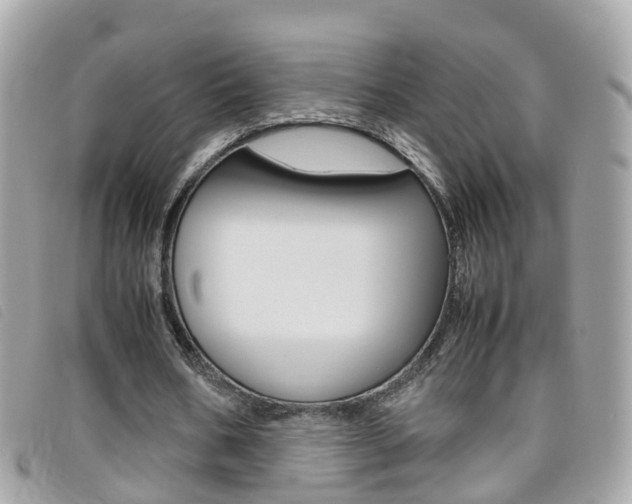X0000095950578200801110917