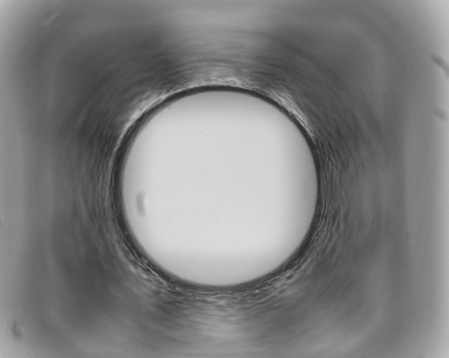 X0000095950579200801110917