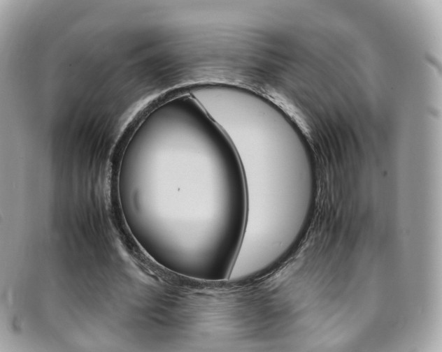 X0000095950580200801110917