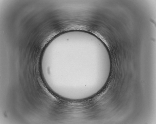 X0000095950581200801110917