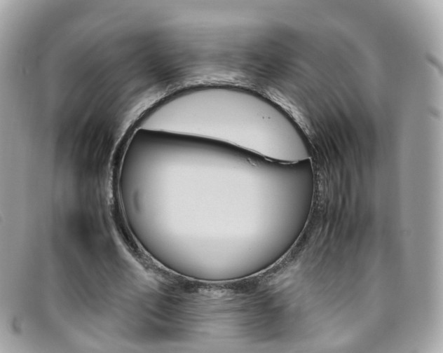 X0000095950582200801110917
