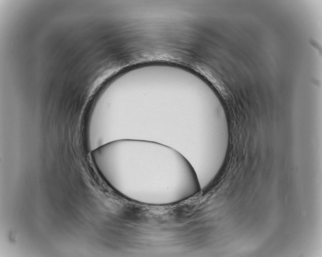 X0000095950583200801110917