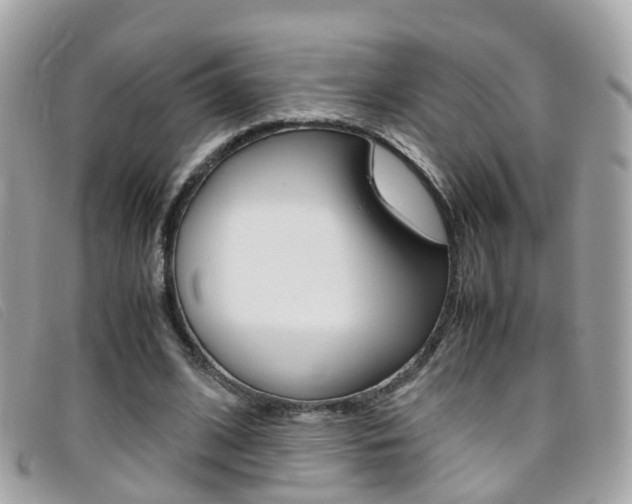 X0000095950584200801110917