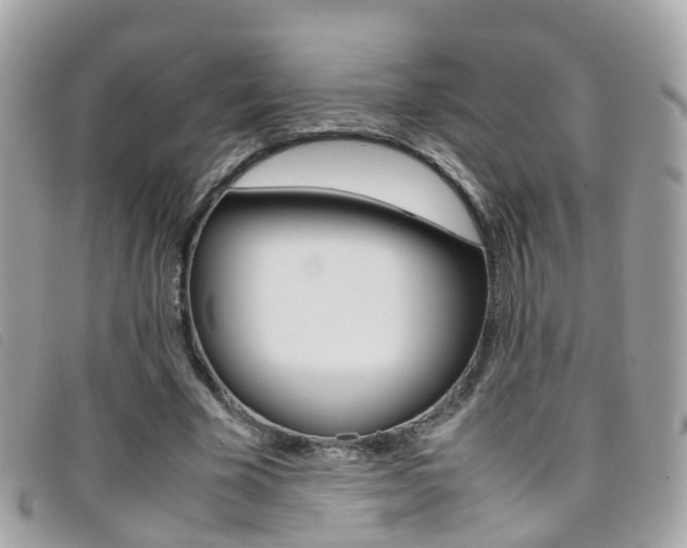 X0000095950585200801110917