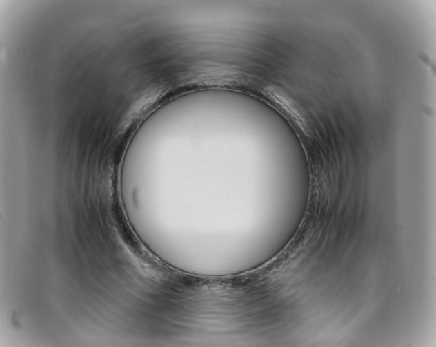X0000095950586200801110917