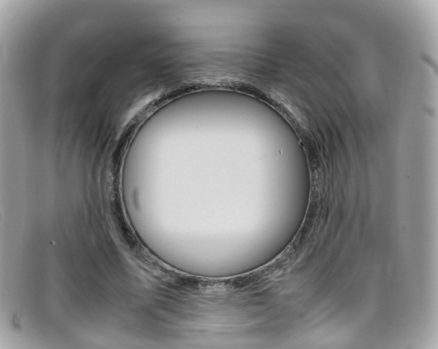 X0000095950587200801110917