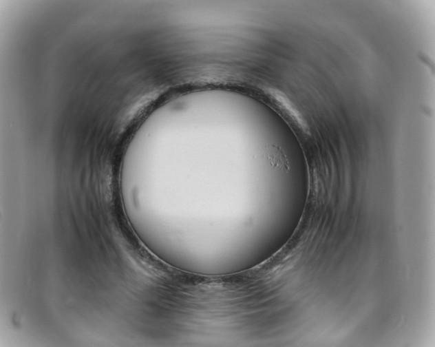X0000095950588200801110917