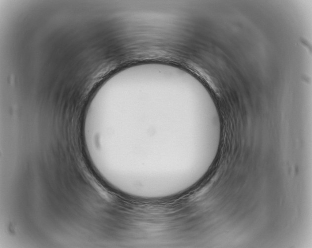 X0000095950589200801110917