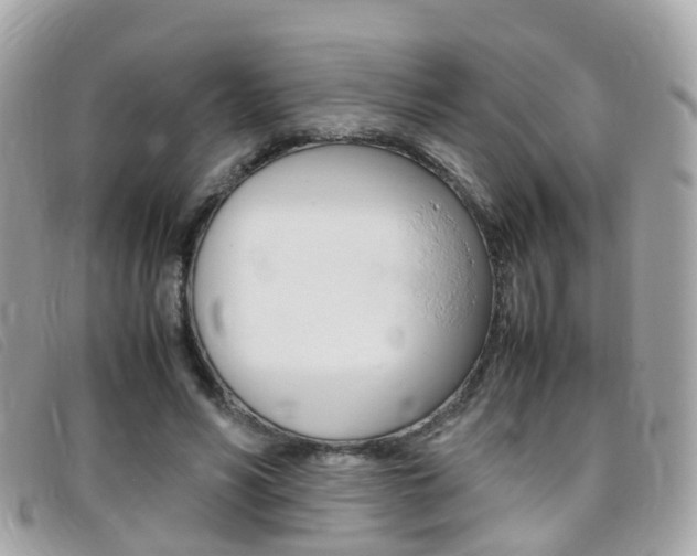 X0000095950590200801110917