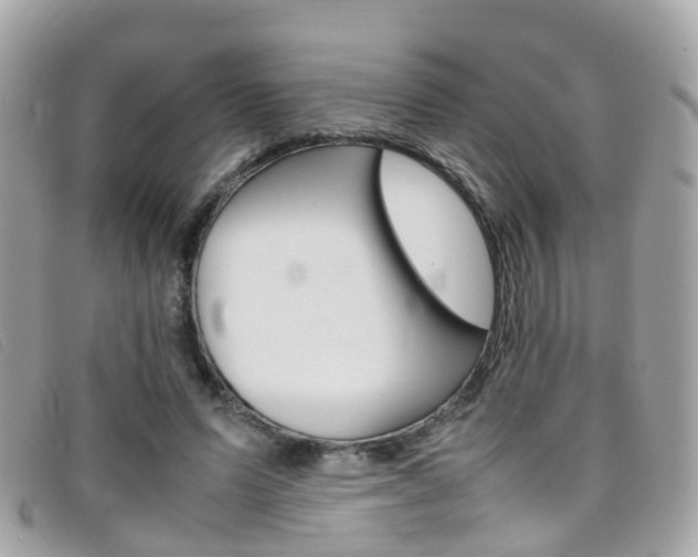 X0000095950591200801110917