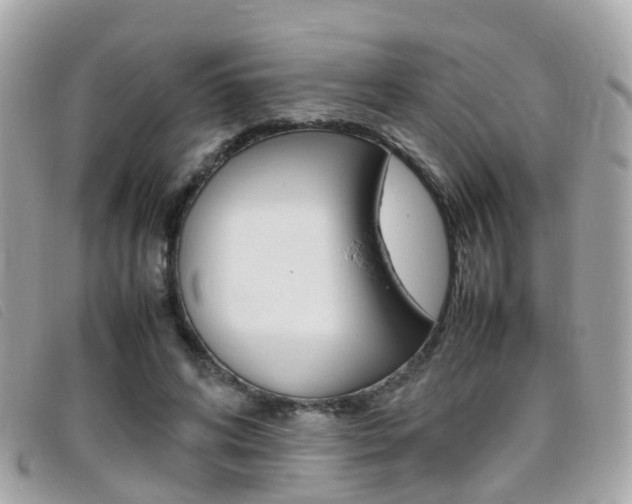 X0000095950592200801110917