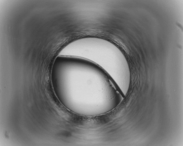 X0000095950593200801110917
