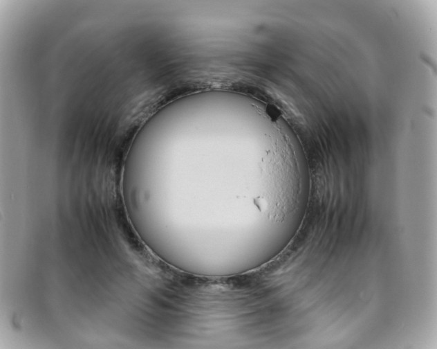 X0000095950594200801110917