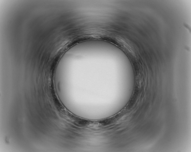 X0000095950595200801110917