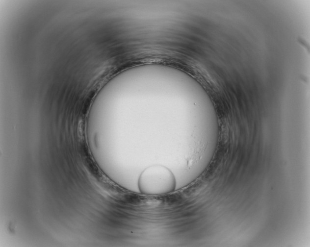 X0000095950598200801110917