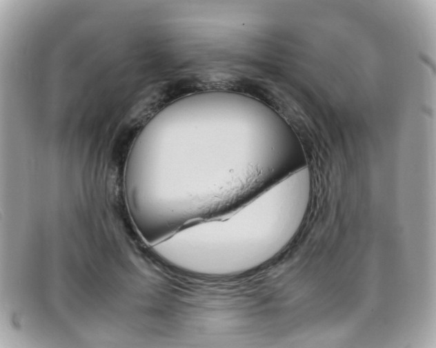 X0000095950599200801110917