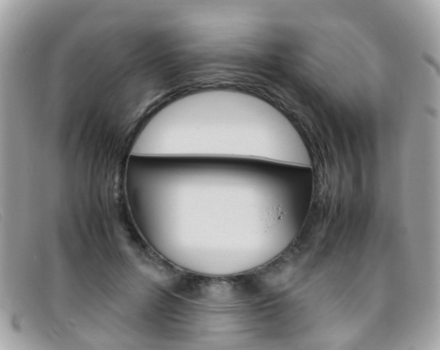 X0000095950600200801110917