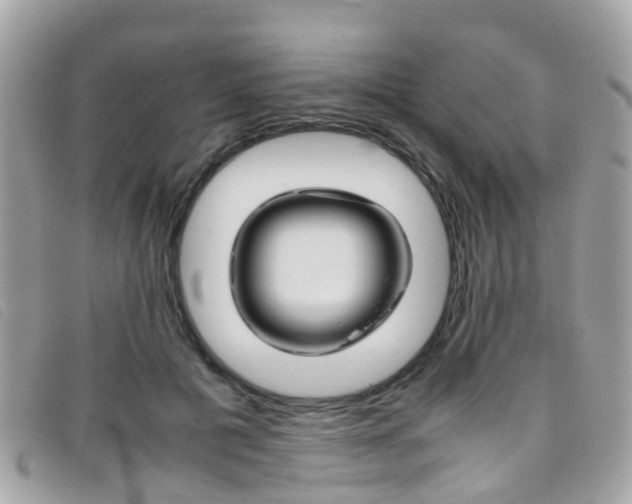 X0000095950601200801110917
