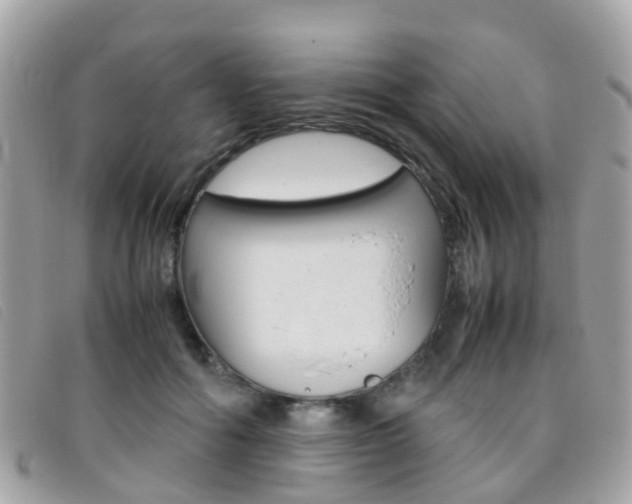 X0000095950602200801110917