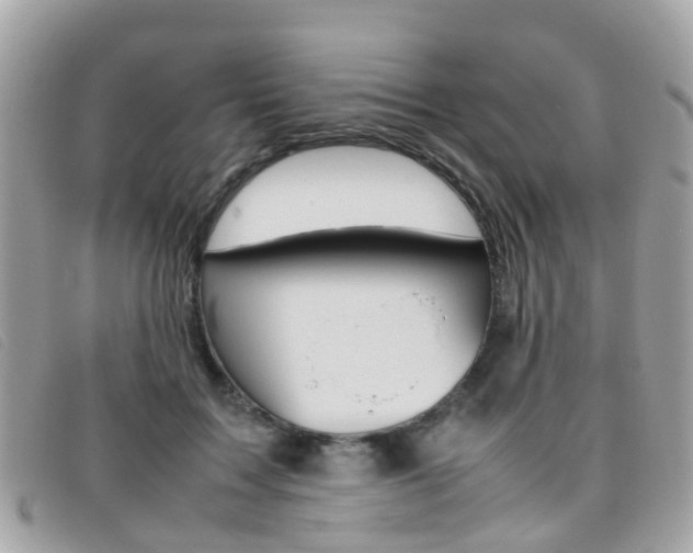 X0000095950603200801110917