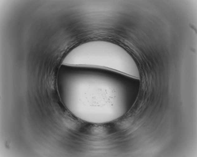 X0000095950604200801110917
