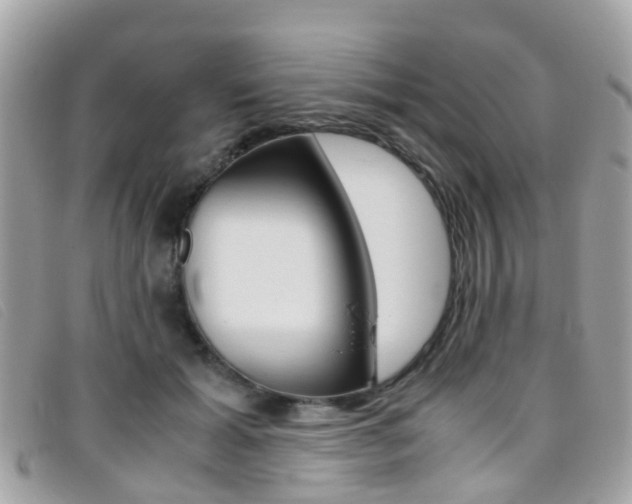 X0000095950605200801110917