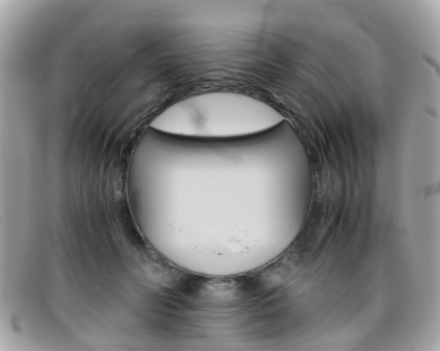 X0000095950606200801110917