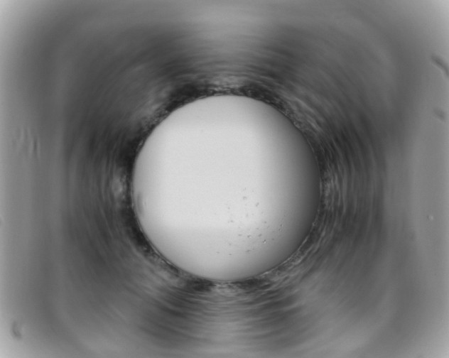 X0000095950608200801110917