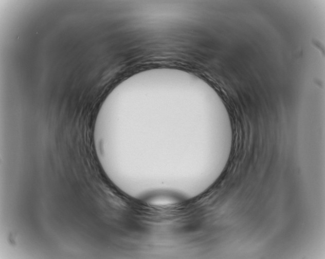 X0000095950609200801110917