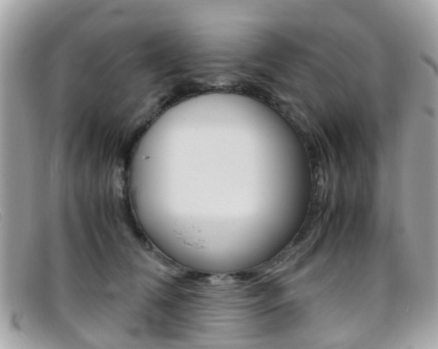 X0000095950612200801110917