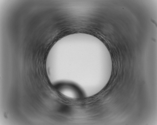 X0000095950613200801110917