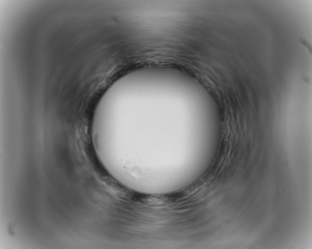 X0000095950615200801110917