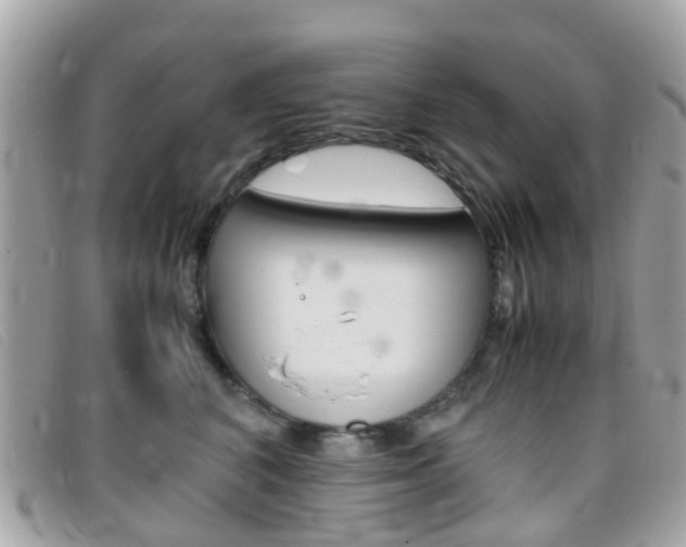 X0000095950616200801110917