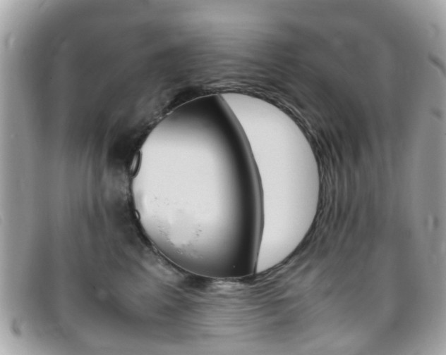 X0000095950617200801110917