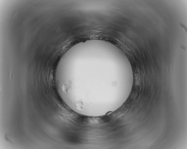 X0000095950618200801110917
