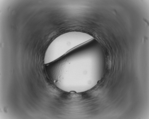 X0000095950619200801110917