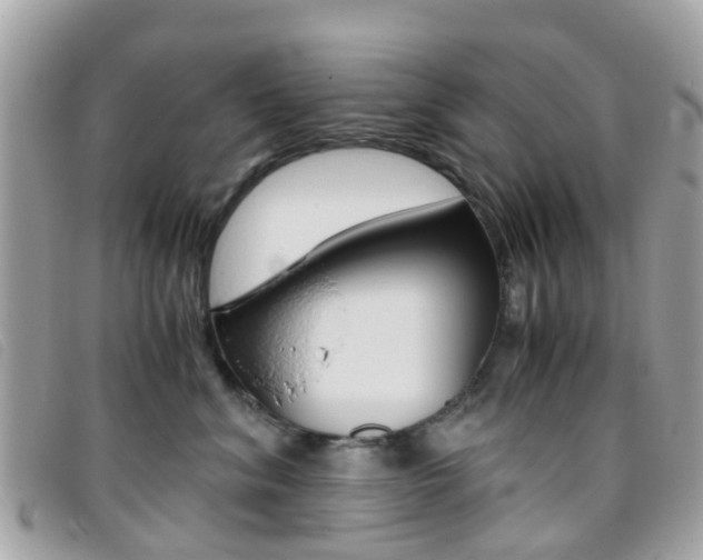 X0000095950620200801110917