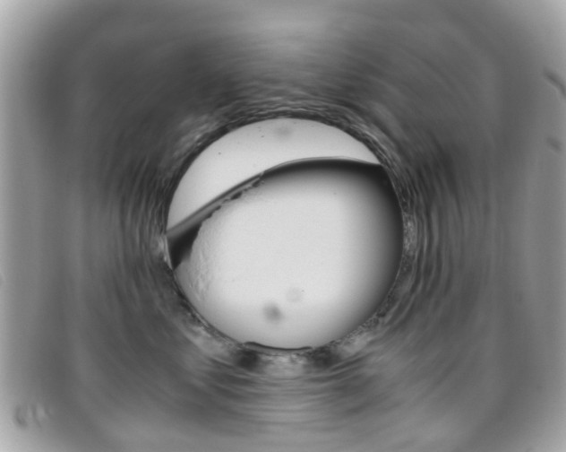 X0000095950621200801110917