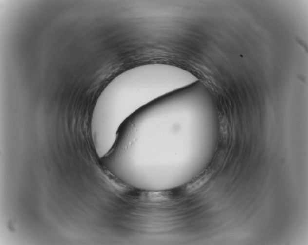 X0000095950622200801110917